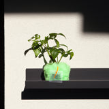 フラフィーポット / FLUFFY POT (XS / GREEN)