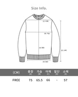 フライストーンハードピグメントフーディー / Fly Stone Hard Pigment Hoodie