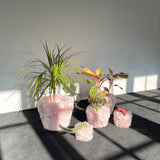 フラフィーポット / FLUFFY POT (L / PINK)