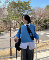 ブロンクロップVネックニット (4 color) (6695923712118)