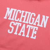 LMN Rio Michigan Oversized Fit Hoodie (5 colors)