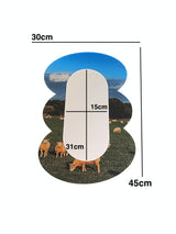 Cloud mirror (sheep)