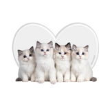 ラブ4キャッツグリップ / love 4 cats griptok