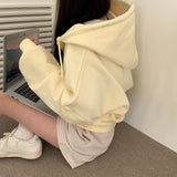 エンブロイダリー２wayフーディジップアップ