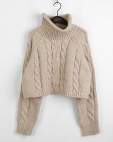 Jirun Twisted Turtleneck Polar Long Sleeve Knit