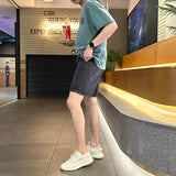 ピグメントミシガンアイスショートスリーブT / LMN Pigment Michigan Ice Short Sleeve Tee (5 colors)