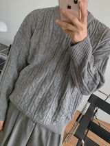 ASCLO Cinnamon Twist V Knit (4color)