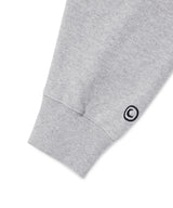 W VARSITY ZIP UP HOODIE GREY(CV2DFFM481A)
