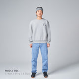 ベーシックロゴクルーネック / Basic Logo Crew Neck Gray (4561791451254)