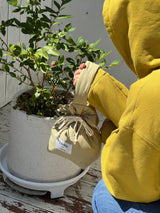 Padding New String mini Bag