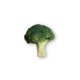 ブロッコリーグリップ / BROCCOLI GRIP TOK
