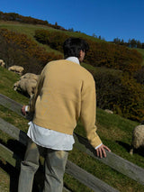ASCLO Butter Lettering Knit (3color)
