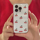 チェリーケース