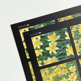 ダッフォディル フィルムステッカー / Daffodil Film Sticker