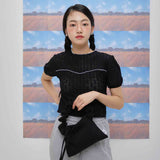 Fetching lace T-shirts (black) (6684249653366)