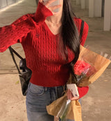 [Belied made] More twisted V-neck embroidery long-sleeved knit