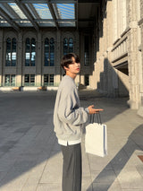 Seed Semi-Crop Sweatshirt (Gray)