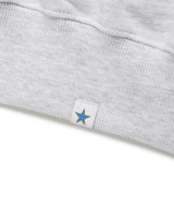 W RAGLAN BLOCK ZIP UP HOODIE LIGHT GREY(CV2ESFM480A)
