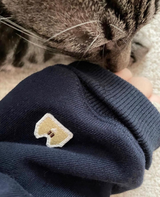 タビーキャットクラブスウェットシャツ / TABBY CAT CLUB SWEATSHIRT NAVY