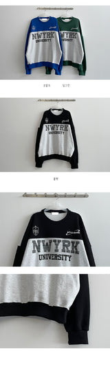 スチールカラードスウェットシャツ / Steel Colored Sweatshirt