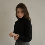 ラグランハイネックトップ / Raglan high-neck top (6635898175606)