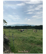 マゾットベストニット