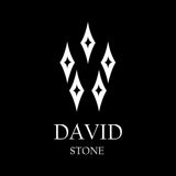 フロントジッパーバックレースアップサンダル / DAVID STONE FRONT ZIPPER BACK LACE UP SANDALS (all black)