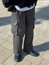 Pelee ash cargo pants