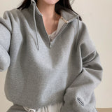 トーンアップシープアッピング刺繡ハーフネックジップアップ