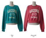 ARIZONA 起毛コットンスウェット(4color) (6661585338486)