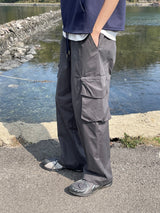 Pelee ash cargo pants