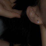 スノーピアス