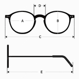 ASCLO Luxe Sunglasses (4color) (6631787593846)
