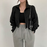 high neck windbreaker