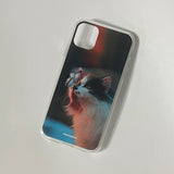 バタフライキャットケース / Butterfly cat case