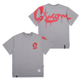 22 DRIP OVERSIZED T-SHIRTS GREY / PURPLE GREY (6699454431350)