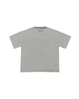 コラボレーションストライプTシャツ / PUBLUX × GRAVER - GRAY