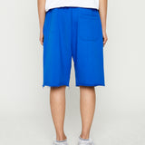 ビッグロゴスウェットショーツ / BIG LOGO SWEAT SHORTS (4559515385974)
