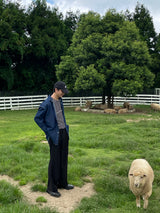 ASCLO Ireland Denim Shirt (2color)