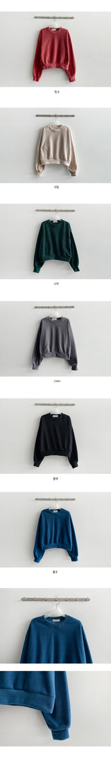 Niro Fleece Cropped Sweatshirt