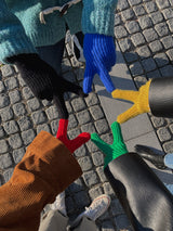 ASCLO Winter Glove (5color) (6645518270582)