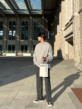 Seed Semi-Crop Sweatshirt (Gray)
