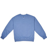 ピグメントクルーネック / Pigment Crewneck (4579188146294)