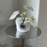 フラフィーポット / FLUFFY POT (XS / WHITE)