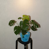 フラフィーポット / FLUFFY POT (XL / BLUE)