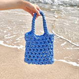 フルーツネットバッグ ミニ/fruit net bag mini (blueberry)