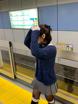 デブレンドニット