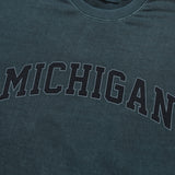 ピグメントミシガンアイスショートスリーブT / LMN Pigment Michigan Ice Short Sleeve Tee (5 colors)