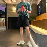 ピグメントミシガンアイスショートスリーブT / LMN Pigment Michigan Ice Short Sleeve Tee (5 colors)