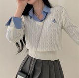[Belied made] More twisted V-neck embroidery long-sleeved knit